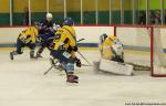 Photo hockey match Avignon - Limoges le 08/10/2016