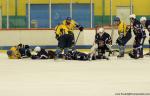 Photo hockey match Avignon - Limoges le 08/10/2016