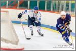 Photo hockey match Avignon - Paris (FV) le 30/01/2016