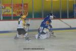 Photo hockey match Avignon - Strasbourg  le 23/12/2009
