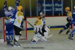 Photo hockey match Avignon - Strasbourg  le 23/12/2009