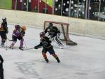 Photo hockey match Besanon - Aubagne le 27/11/2010