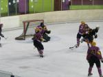 Photo hockey match Besanon - Aubagne le 27/11/2010