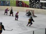 Photo hockey match Besanon - Aubagne le 27/11/2010