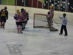 Photo hockey match Besanon - Aubagne le 27/11/2010