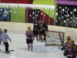 Photo hockey match Besanon - Aubagne le 27/11/2010