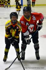 Photo hockey match Besanon - Avignon le 28/10/2023