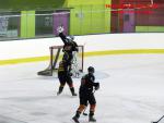 Photo hockey match Besançon - Châlons-en-Champagne le 17/01/2015