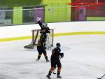 Photo hockey match Besanon - Chlons-en-Champagne le 17/01/2015