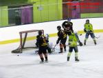 Photo hockey match Besanon - Chlons-en-Champagne le 17/01/2015