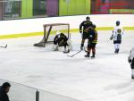 Photo hockey match Besanon - Champigny-sur-Marne le 21/02/2015
