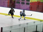 Photo hockey match Besanon - Champigny-sur-Marne le 21/02/2015