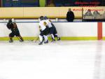 Photo hockey match Besanon - Champigny-sur-Marne le 21/02/2015