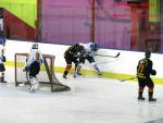 Photo hockey match Besanon - Champigny-sur-Marne le 21/02/2015