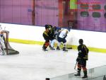 Photo hockey match Besanon - Champigny-sur-Marne le 21/02/2015