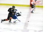 Photo hockey match Besanon - Champigny-sur-Marne le 21/02/2015
