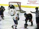 Photo hockey match Besanon - Champigny-sur-Marne le 21/02/2015