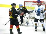 Photo hockey match Besanon - Champigny-sur-Marne le 21/02/2015