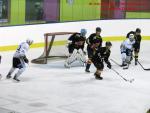 Photo hockey match Besanon - Colmar le 25/01/2014