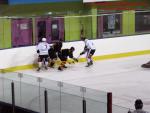 Photo hockey match Besanon - Colmar le 25/01/2014