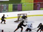 Photo hockey match Besanon - Colmar le 25/01/2014