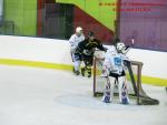 Photo hockey match Besanon - Colmar le 25/01/2014