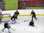 Photo hockey match Besanon - Colmar le 25/01/2014