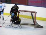 Photo hockey match Besanon - Colmar le 25/01/2014
