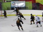 Photo hockey match Besanon - Colmar le 25/01/2014