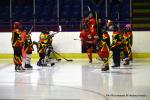 Photo hockey match Besan�on - Colmar le 07/03/2026