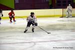 Photo hockey match Besan�on - Colmar le 07/03/2026