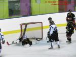 Photo hockey match Besanon - Dammarie-les-Lys le 21/12/2013