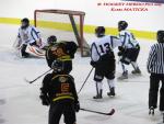 Photo hockey match Besanon - Dammarie-les-Lys le 21/12/2013