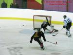 Photo hockey match Besanon - Dammarie-les-Lys le 21/12/2013
