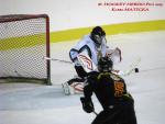 Photo hockey match Besanon - Dammarie-les-Lys le 21/12/2013