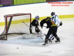 Photo hockey match Besanon - Dammarie-les-Lys le 10/01/2015