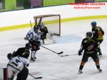 Photo hockey match Besanon - Dammarie-les-Lys le 10/01/2015