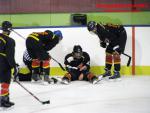 Photo hockey match Besanon - Dammarie-les-Lys le 10/01/2015