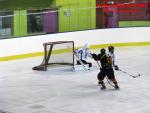 Photo hockey match Besanon - Dammarie-les-Lys le 10/01/2015
