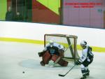 Photo hockey match Besanon - Epinal  le 30/11/2013