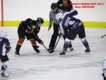 Photo hockey match Besanon - Epinal  le 30/11/2013