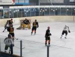 Photo hockey match Besanon - Font Romeu le 24/01/2010