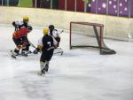 Photo hockey match Besanon - Strasbourg II le 14/01/2012