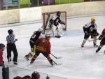 Photo hockey match Besanon - Strasbourg II le 14/01/2012