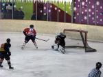Photo hockey match Besanon - Valenciennes le 22/12/2012