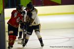 Photo hockey match Besanon - Villard-de-Lans II le 06/01/2024