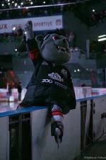 Photo hockey match Bordeaux - Amiens  le 28/01/2025