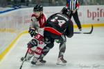Photo hockey match Bordeaux - Amiens  le 30/01/2026