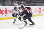 Photo hockey match Bordeaux - Angers  le 03/11/2023