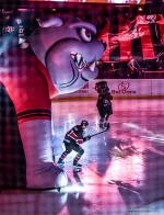 Photo hockey match Bordeaux - Angers  le 18/03/2025